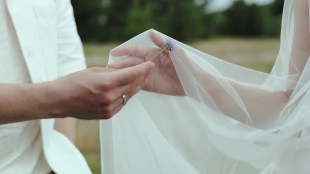 Sahada Birbirine Aşık Çiftlerin Yakın Çekim Elleri Dişi Erkeğin Kolundaki — Stok video