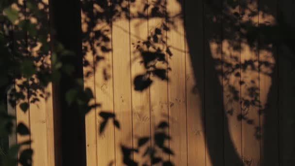 Ahşap Kamerasının Ahşap Duvarındaki Yaprakların Gölgesi Ileri Doğru Hareket Ediyor — Stok video