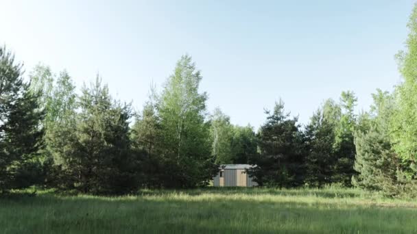 Foto Luas Rumah Kecil Kayu Bangunan Kayu Tersembunyi Antara Pohon — Stok Video
