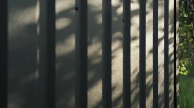 Açık hava metal duvarına yakın çekim, yazın yeşil ormandaki küçük evin üzerindeki ağaçların gölgesi, güneş ışığı lekeleri, evin siyah metal yapısı, doğaya doğru yavaş çekim. 4k 