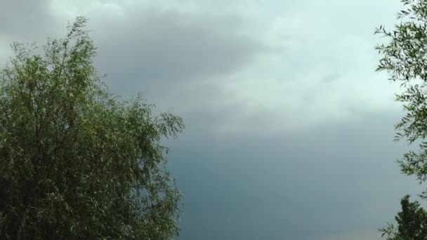 Nubes Lluvia Tormenta Sobre Parte Superior Los Árboles Verdes Cielo — Vídeo de stock
