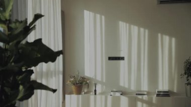 Design interior of empty living room, sunlight from the window on the wall, plants on the dresser, shadows on the wall, slow motion. High quality 4k footage