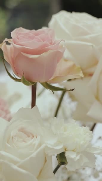 Video Vertico Rose Rosa Bianche Primo Piano Mazzi Teneri Rose — Video Stock