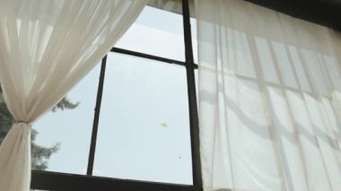 Penceresi perdeli, açık gökyüzü ve güneşli bir gün. Rüzgar tüllerini üflüyor. Portakallı pencere, arka plan, ağır çekim. Yüksek kalite 4k görüntü