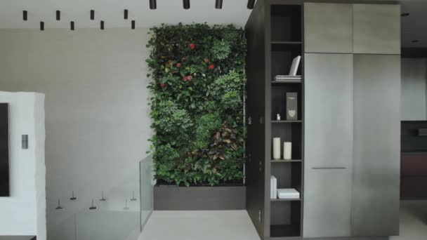 Zielony Salon Pionowym Ogrodem Rośliny Domowe Zielona Ściana Kwiatami Ramach — Wideo stockowe