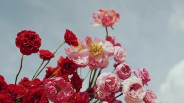 Gökyüzüne karşı kırmızı, pembe ve beyaz tonlarda canlı güller serpiştirilmiş güzel renkli bir düzenleme.