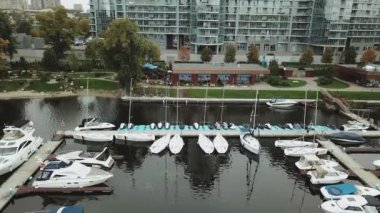Nefes kesici bir marina sahnesinde arka planda yükselen çağdaş binalarla birlikte çok sayıda tekne sergileniyor.