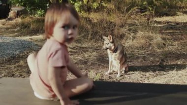 Neşeli bir çocuk dışarıda mutlu bir şekilde oynarken meraklı bir köpek sakin bir doğal ortamda yakından izliyor.