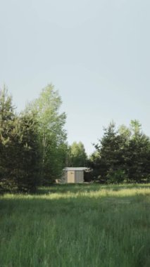 Dikey video. Berrak bir mavi gökyüzünün altında yemyeşil bir alana kurulmuş sakin ve huzurlu bir kulübe, doğa inzivası için ideal.