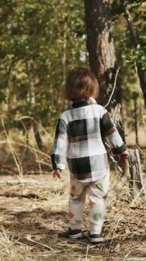Dikey ekran: Genç bir çocuk gür ağaçlar ve canlı yeşilliklerle çevrili sakin ve sakin bir ormanda yürüyor.