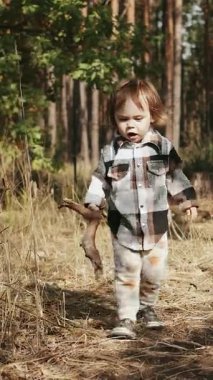  Dikey çekim. Gömlek giyen bir çocuk, yeşil ve vahşi yaşamla çevrili güzel bir sonbahar ormanında doğayı keşfediyor, ateş için odun topluyor.