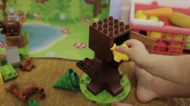 Elleri yakın çekim. Bir çocuk doğadaki renkli yapı taşlarıyla neşe içinde oynayarak, yaratıcılık yoluyla öğrenmelerini geliştirir.