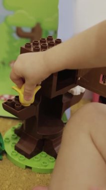 Elleri yakın çekim. Bir çocuk neşeli bir şekilde doğadaki renkli yapı taşlarıyla oynar, 3 yaşındaki kızların ellerinde oyuncak, çocukluk, çocuk gelişimi, yaratıcılık. Yüksek kalite 4k görüntü