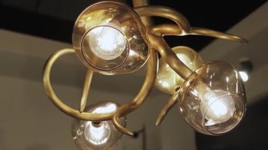 Çarpıcı bir altın avize. Karmaşık tasarımı ve modern dekorlar için güzel cam ışıklı gölgeleri var..