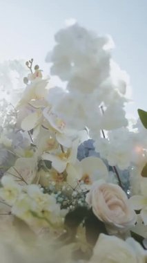 Dikey video. Güllerle süslenmiş bir düğün kemerinin yakın çekimi, beyaz ve mavi kasımpatılar, çiçekler arasında parlayan güneş ışınları. Düğün dekoru. Yüksek kalite 4k görüntü