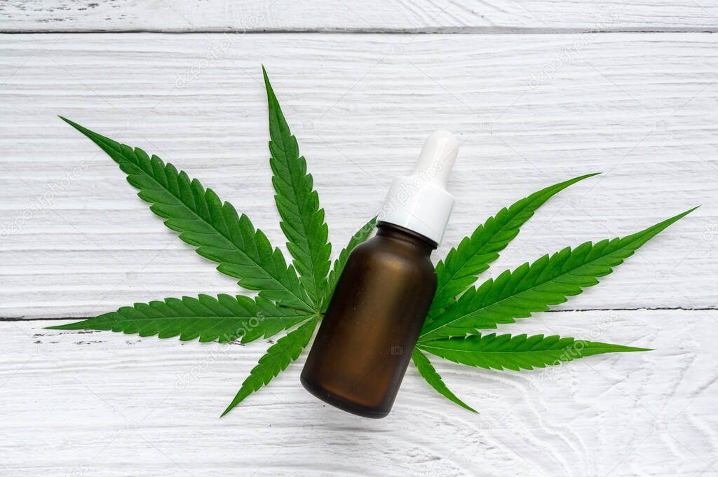 Hojas de marihuana, cannabis sobre fondo blanco. marihuana medicinal y