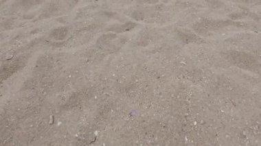 Yazın bir kumsalın kumsal desenine yakın çekim. 4k video