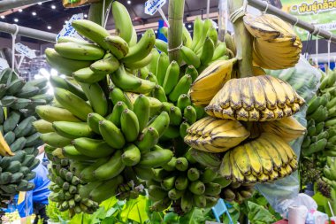 22 Mart 2025, Bangkok Tayland: Taze muzlar Tayland 'da canlı bir pazarda gün içinde sergilenen olgunlaşma aşamalarında sergileniyor