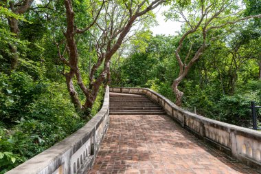 Taş tuğlalardan yapılmış huzurlu bir patika ağaçlarla dolu canlı yeşil bir araziye çıkıyor. Güneş ışığı yaprakların arasından süzülüp, gezinmek için mükemmel sakin bir atmosfer yaratır..