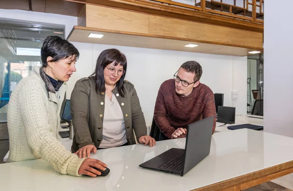 Три Співробітники Офісі Чоловік Дві Жінки Консультують Щось Ноутбуці Контрольованому Ліцензійні Стокові Зображення