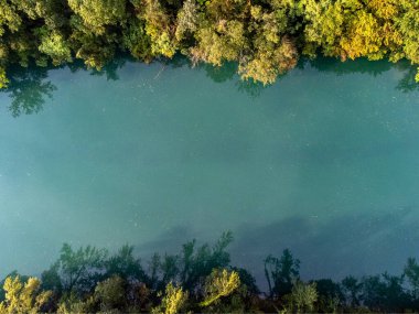 Slovenya 'da telif uzayı ve altında ağaçlar olan Soca Nehri' nin insansız hava aracı görüntüsü. Yüksek kalite fotoğraf