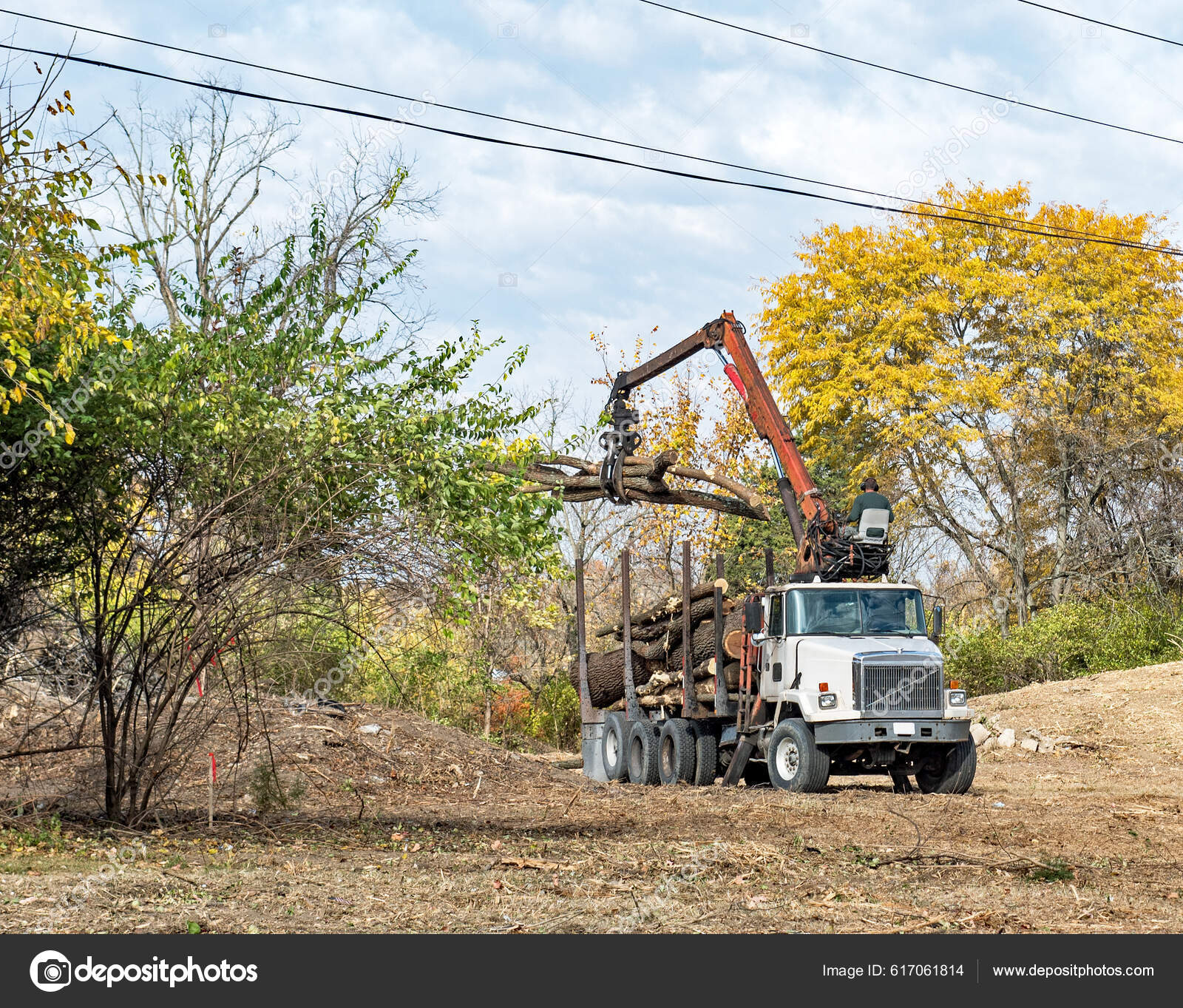 Árbol Carga Camiones Conecta Cama Del Camión fotografía de stock