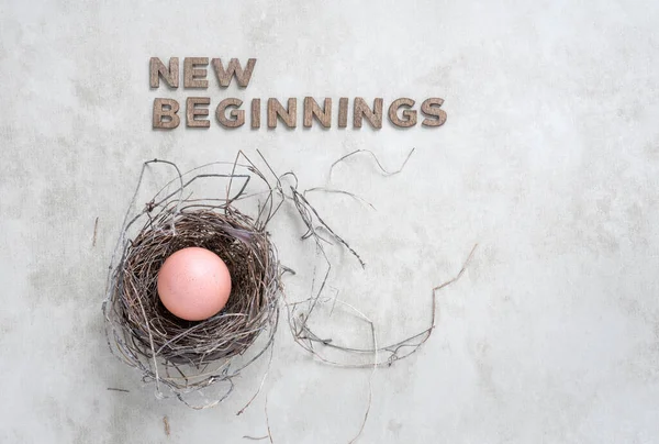 Doğal Yuvada Yeni Başlangıçlar Yumurtası — Stok fotoğraf