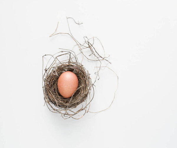 Egg in Nest isolated on White