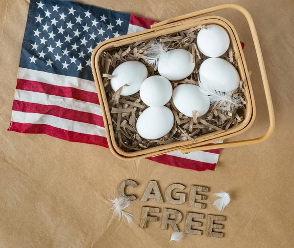 Rustic Cage Free Country Eggs on Brown Background