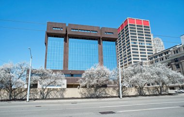 Şehir merkezinde çiçek açan elma ağaçlarıyla birlikte şehir merkezi.