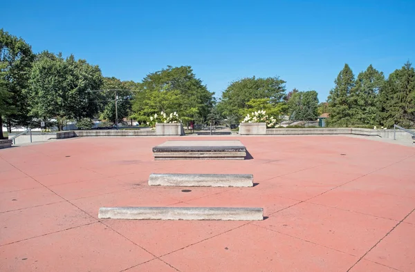 Geniş Pembe Topluluk Kaykay Parkı Yükseltilmiş Alan