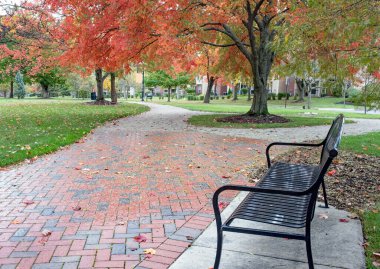 Urban park scene with black, metal bench by red brick path and Maple tree in background with fall red foliage on a rainy day. clipart