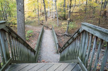 Yıpranmış, ahşap, yaya köprüsünün basamakları sonbahar ormanlarında yürüyüş yoluna iniyor..