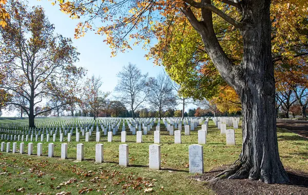 Dayton, Ohio, ABD - 5 Kasım 2023: Dayton Ulusal Mezarlığı, C.1867, Ulusal Mezarlık Assoc 'un bir parçası olarak 50 yılını kutladı. Burada görülen mezar taşları toplam 55,359 gözaltının bir parçası..