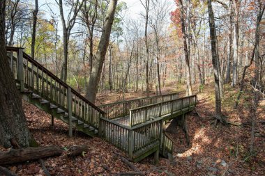 Sonbaharın sonlarında Yaprak Ormandaki Kırsal Ahşap Köprü