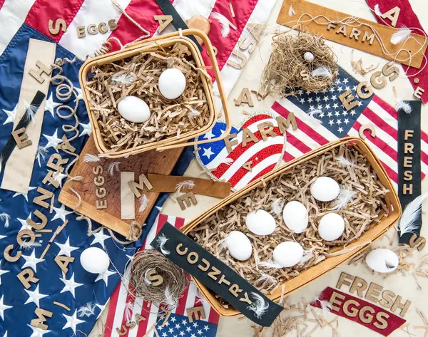 Usa Country Eggs Puzzle Template Stock Image