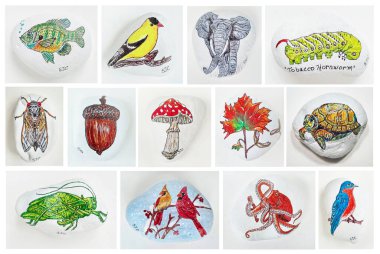 Ohio Boyalı Kayaları Kolajı