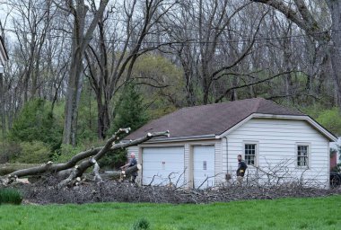 Dayton, Ohio 3 Nisan 2025: Erkekler, bir gecede devrilen ağaçların dallarını görmüşler.. 