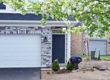 İnşaat Alanına Çalılıkların Yüklenmesi