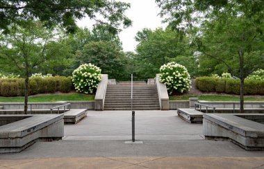Kaykay Meydanı Ortanca Çalıları Arasında Adımlar