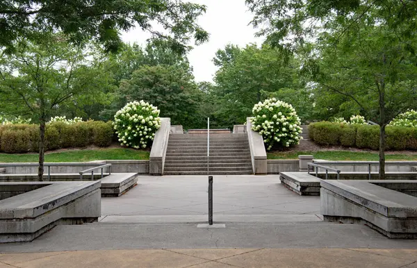 Kaykay Meydanı Ortanca Çalıları Arasında Adımlar