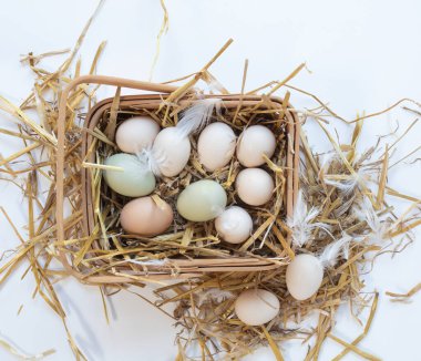 Tahta Sepette Saman İçinde Küçük Bantam Yumurtaları 