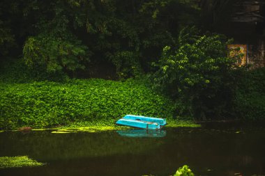 beautiful lndscape of lake in forest