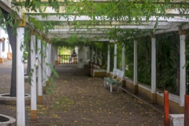 Resting plant with green roof and bench
