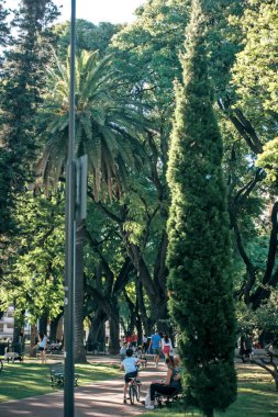 Yeşil parkın güzel manzarası