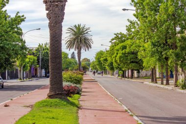 beautiful view of city street in sunny day