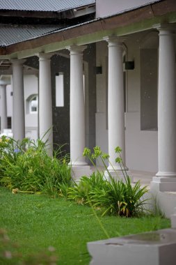 Modern house with columns and green yard