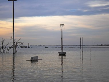 Lake with flooded electricity poles and trees