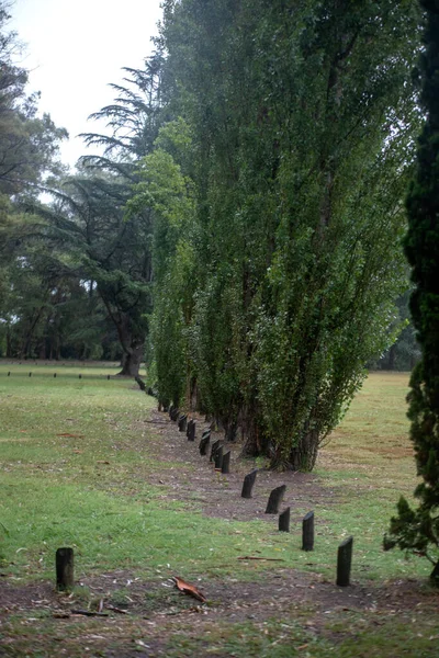 Prachtig Park Met Groene Bomen — Stockfoto