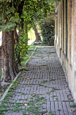 Buenos Aires 'te sakin kırsal kaldırım